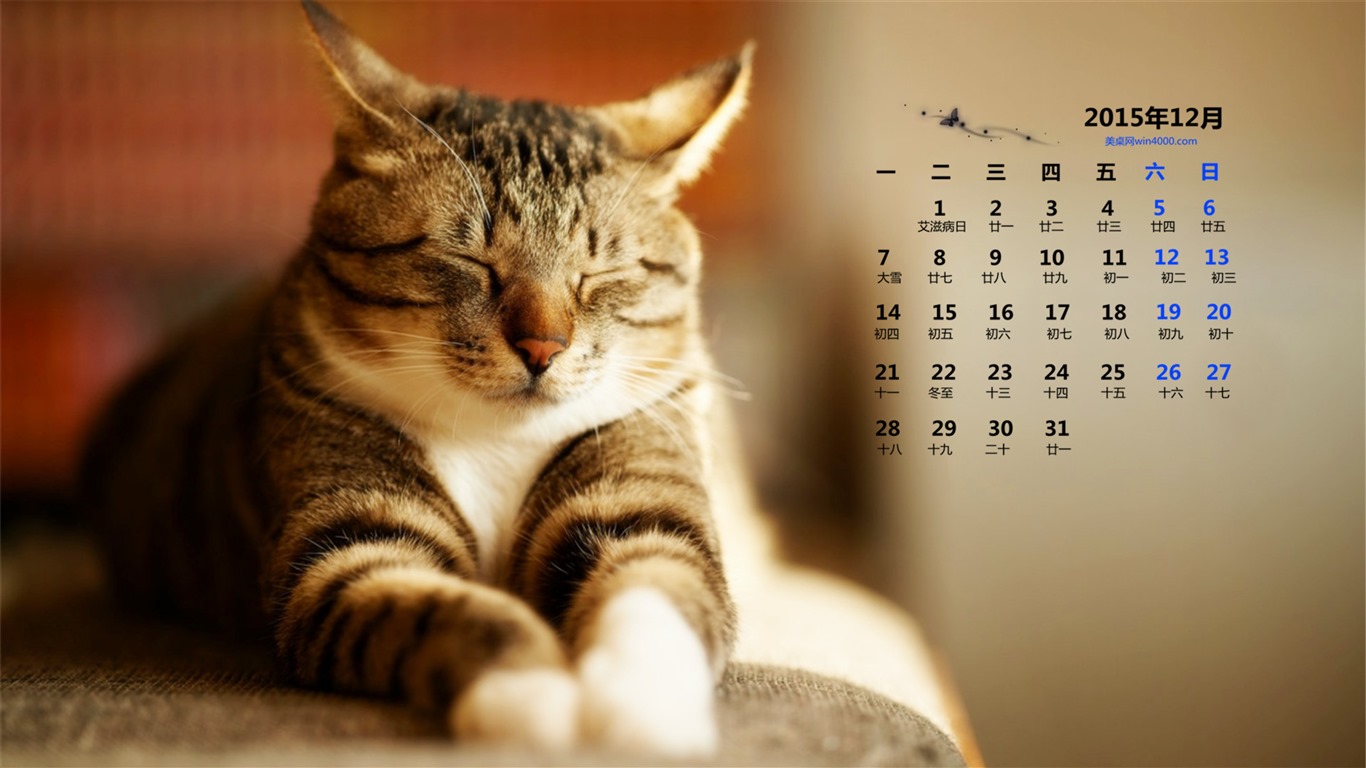 2015年12月 月曆壁紙(一) #14 - 1366x768