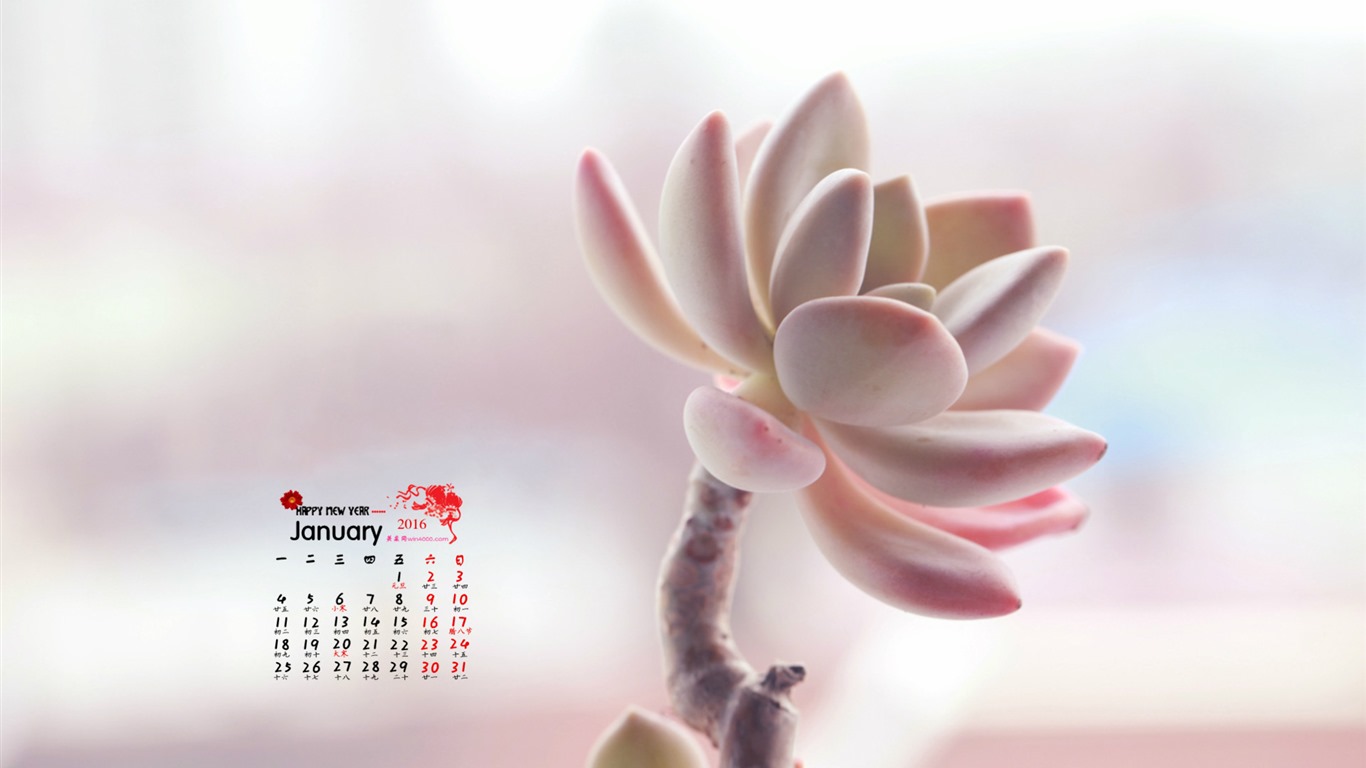 Januar 2016 Kalender Wallpaper (1) #4 - 1366x768