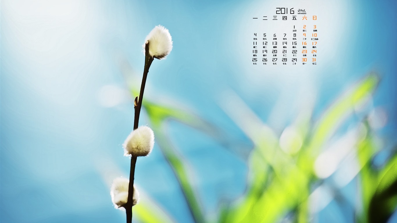 2016年1月 月曆壁紙(一) #10 - 1366x768