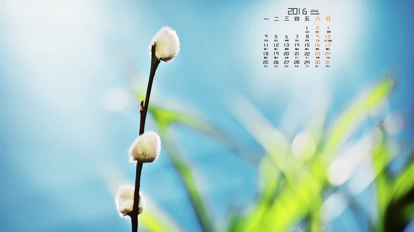 Januar 2016 Kalender Wallpaper (1) #10 - 1366x768