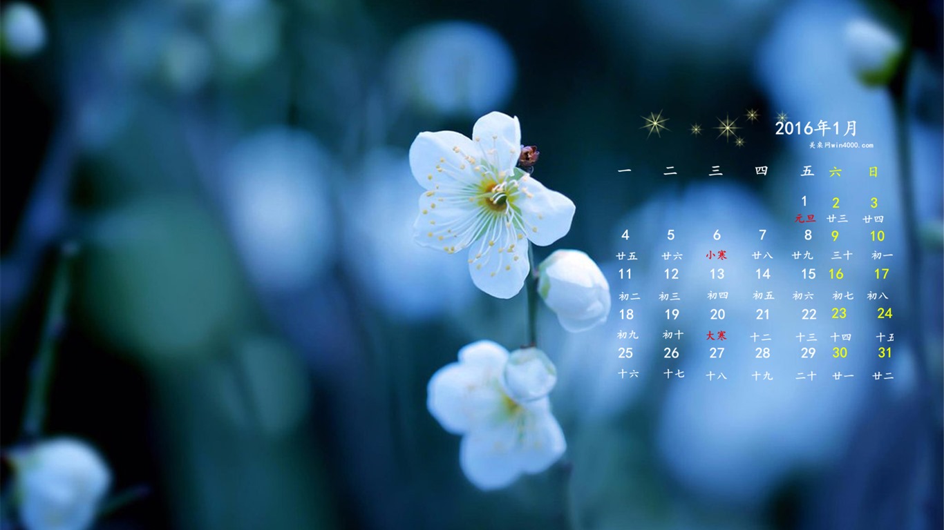 2016年1月 月曆壁紙(一) #19 - 1366x768