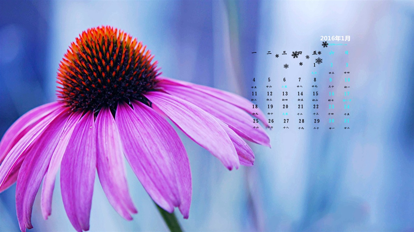 January 2016 calendar wallpaper (2) #5 - 1366x768
