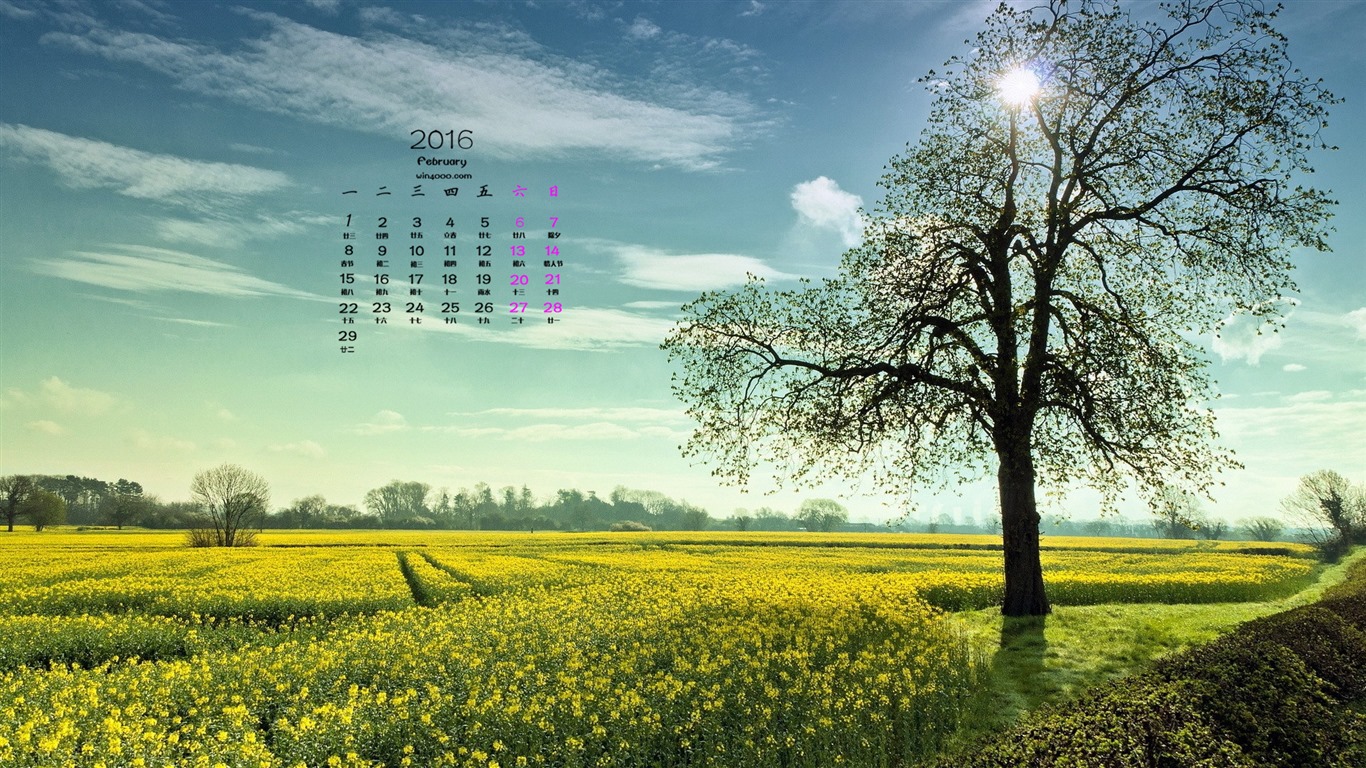 February 2016 Calendar wallpaper (1) #5 - 1366x768