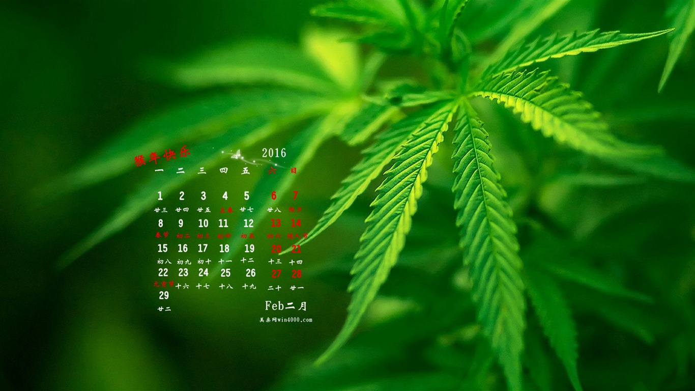 2016年2月 月曆壁紙(一) #11 - 1366x768