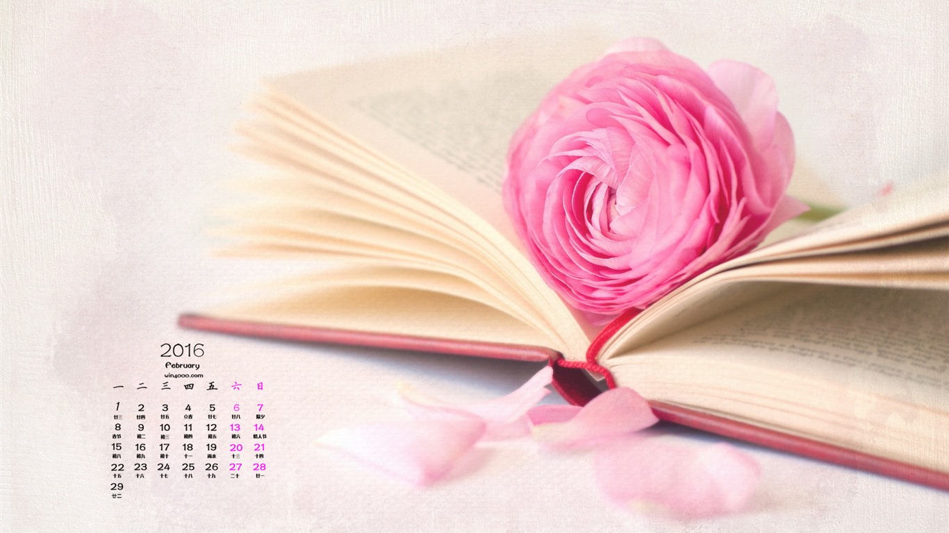 2016年2月 月曆壁紙(一) #12 - 1366x768