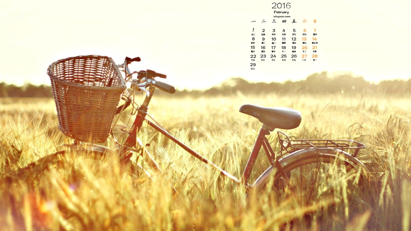 2016年2月 月曆壁紙(一) #14 - 1366x768