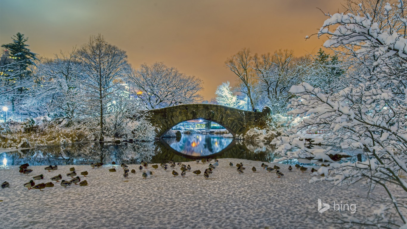 De enero de 2016 fondos de pantalla HD tema de Bing #18 - 1366x768