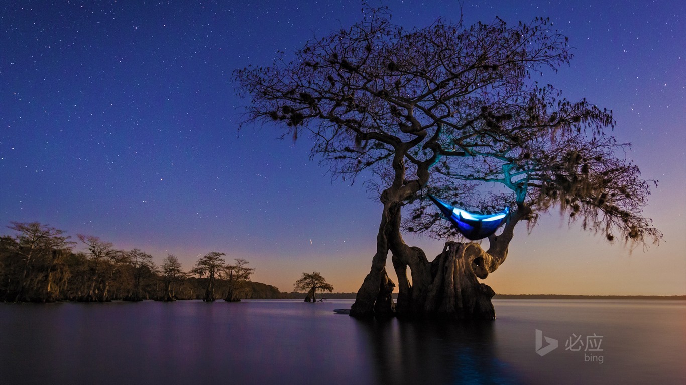 Janvier 2016 fonds d'écran Bing thème HD #22 - 1366x768