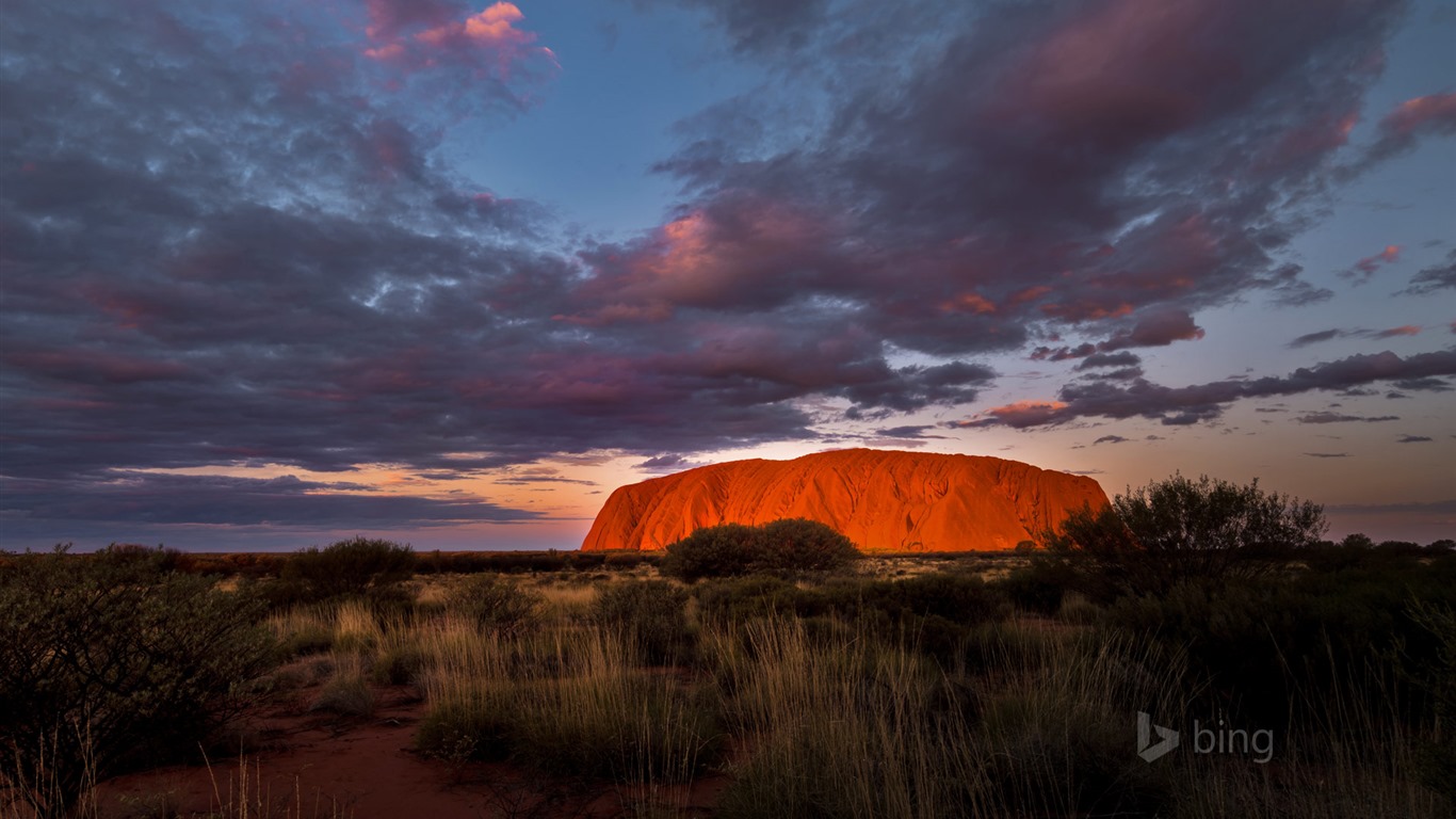 January 2016 Bing theme HD wallpapers #25 - 1366x768