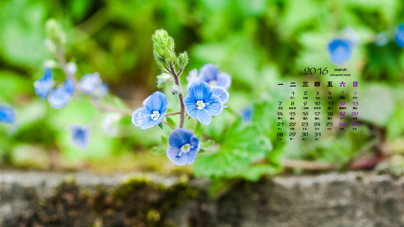 2016年3月 月曆壁紙(一) #10 - 1366x768