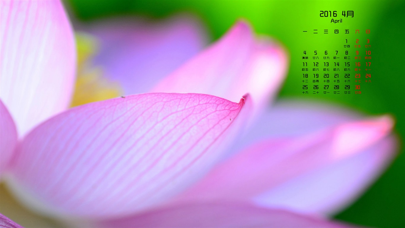 2016年4月 月曆壁紙(一) #18 - 1366x768