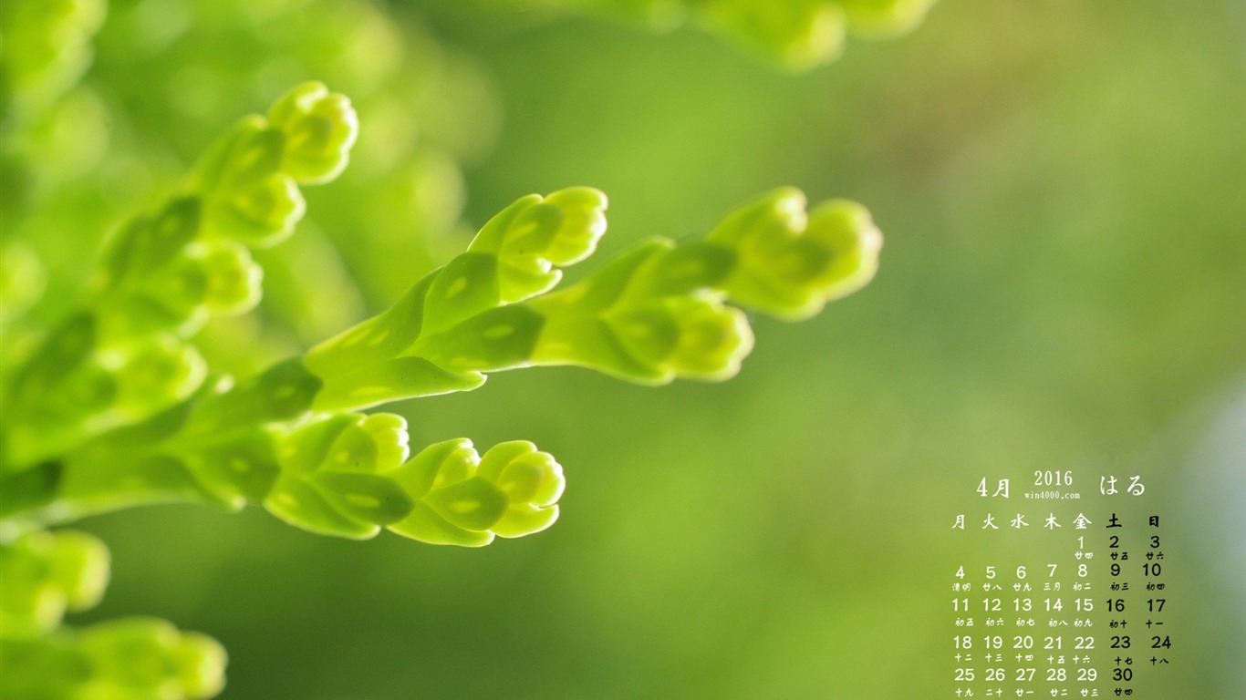 2016年4月 月曆壁紙(二) #2 - 1366x768