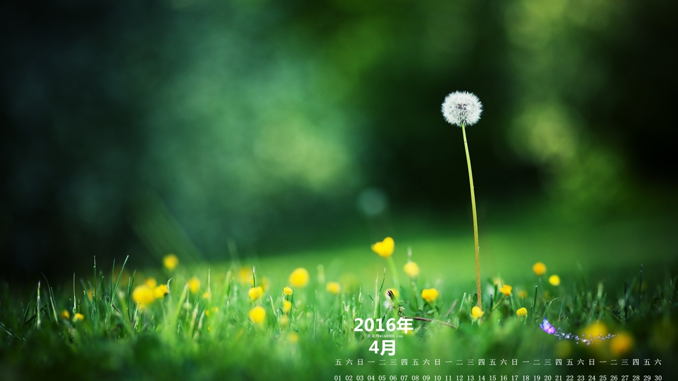 2016年4月 月历壁纸(二)4 - 1366x768