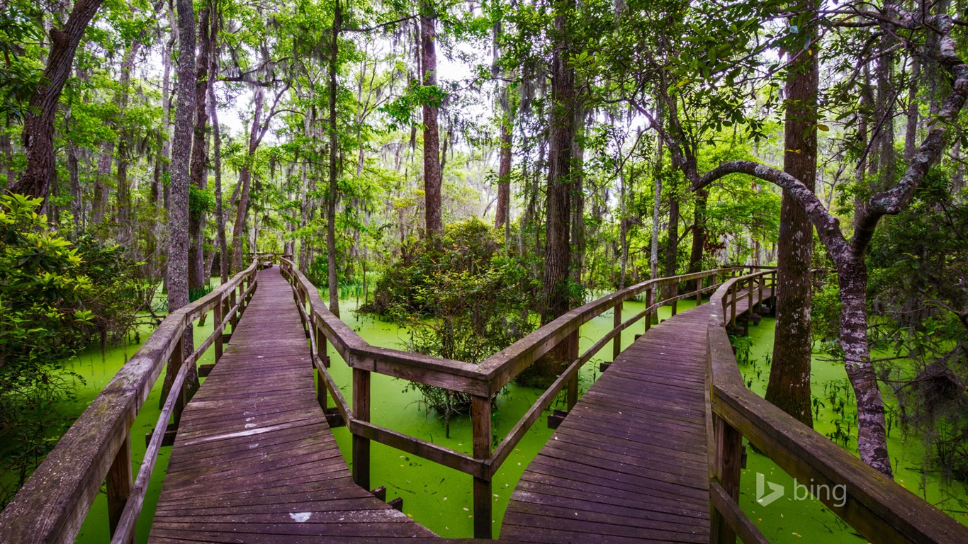 Febrero de 2016 fondos de pantalla HD tema de Bing #9 - 1366x768