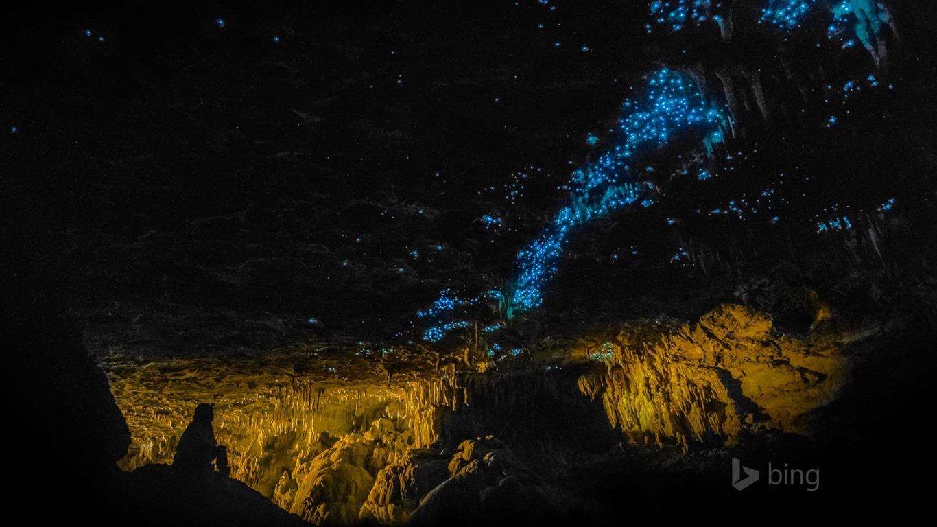 Únor 2016 Bing téma HD tapety na plochu #14 - 1366x768