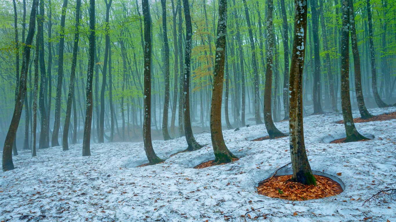 Března 2016 Bing téma HD tapety na plochu #34 - 1366x768