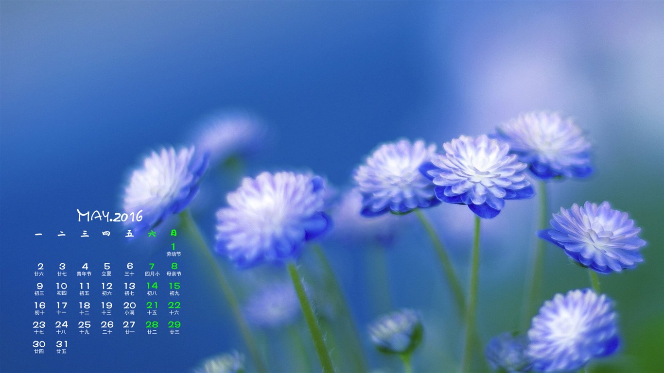 2016年5月 月曆壁紙(一) #14 - 1366x768