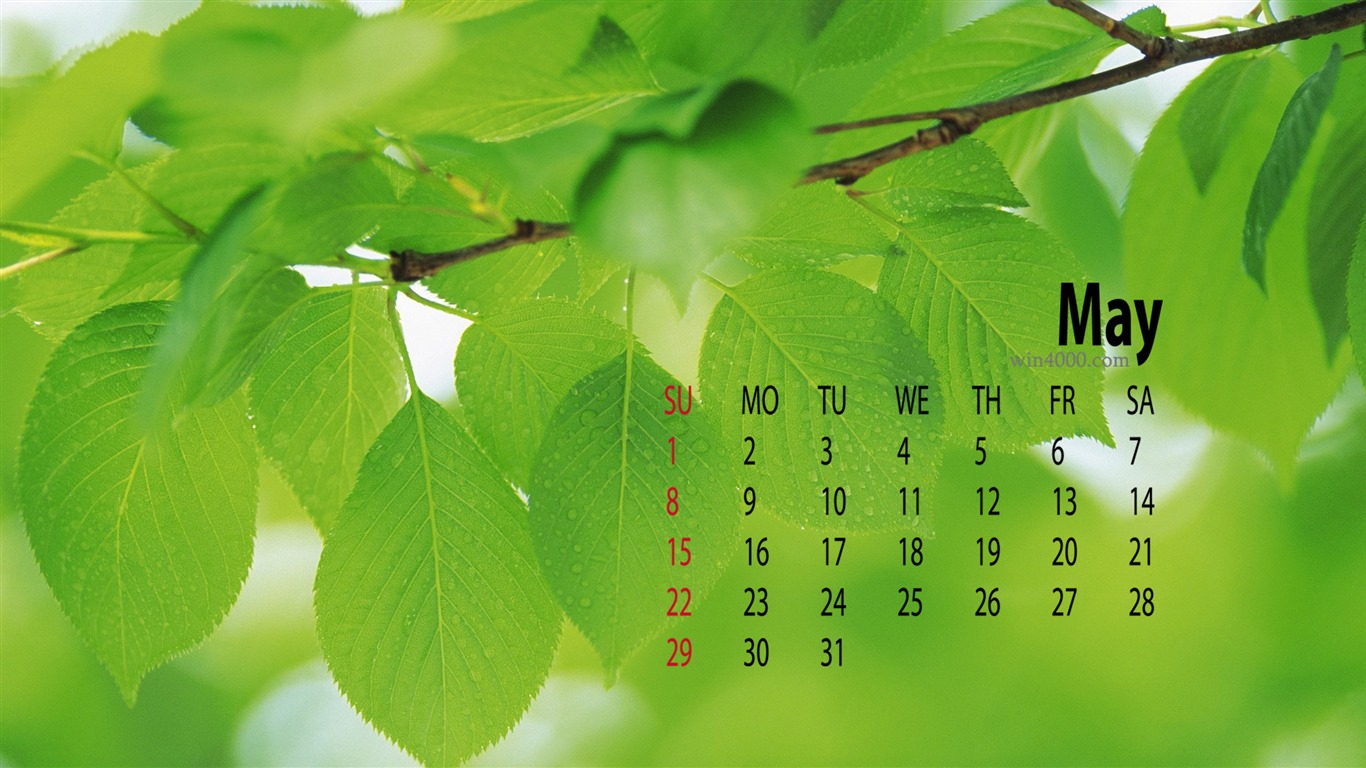 Mai 2016 Kalender Wallpaper (1) #19 - 1366x768