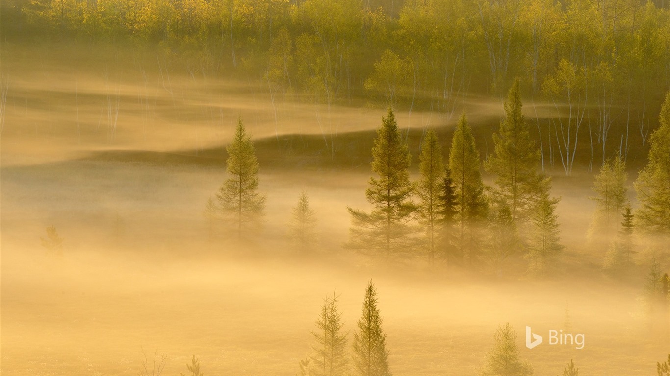 Duben 2016 Bing téma HD tapety na plochu #14 - 1366x768