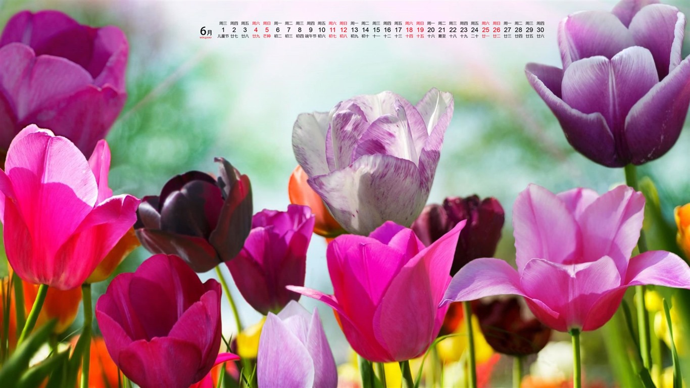 De junio de el año 2016 fondo de pantalla de calendario (1) #8 - 1366x768