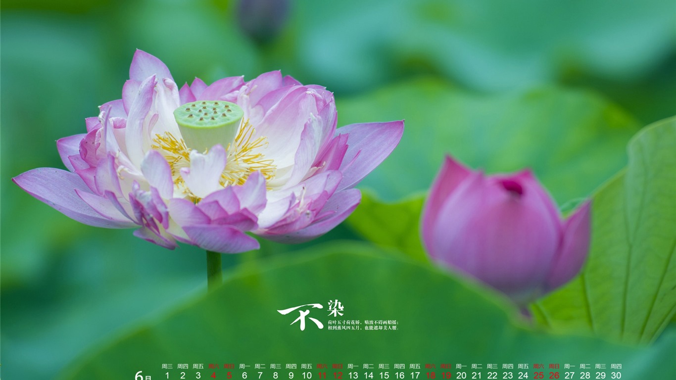 2016年6月 月历壁纸(一)10 - 1366x768