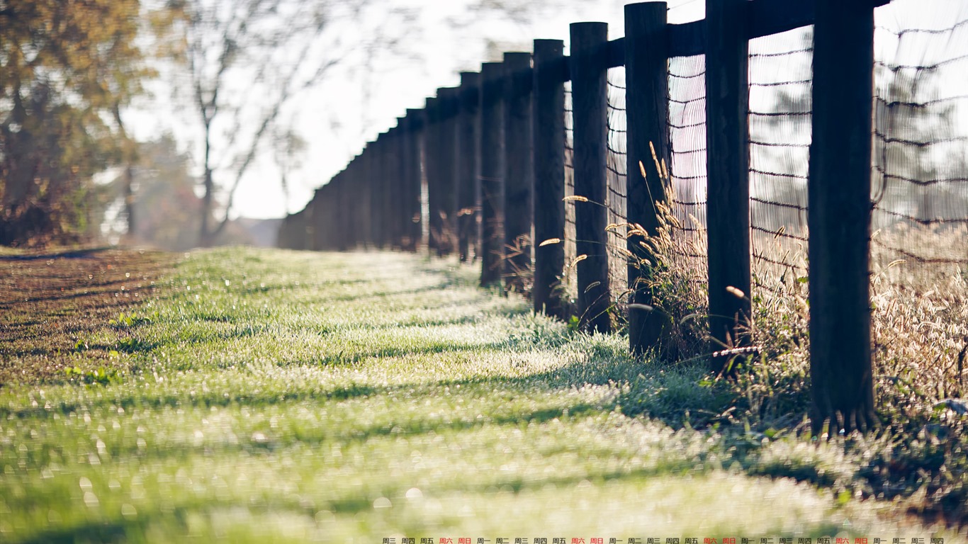 De junio de el año 2016 fondo de pantalla de calendario (1) #19 - 1366x768