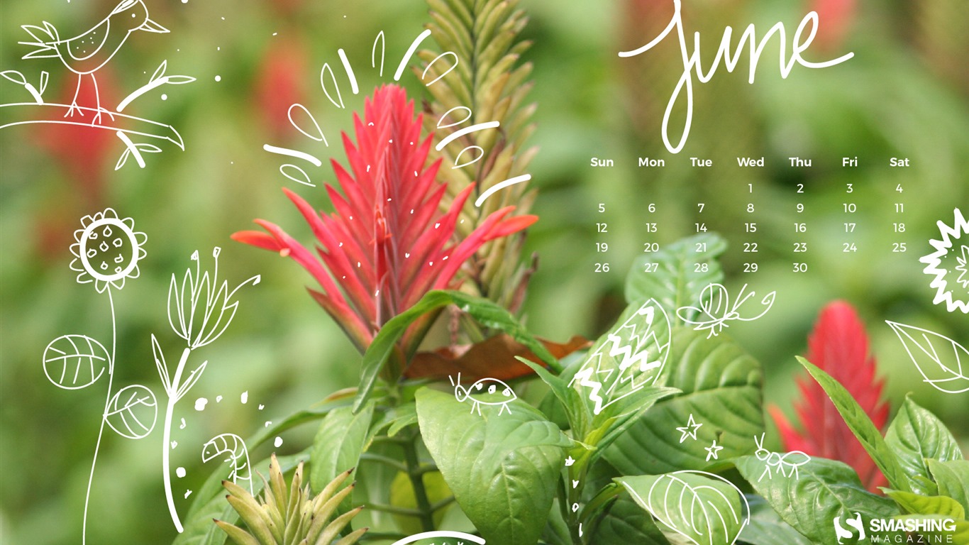 June 2016 calendar wallpaper (2) #4 - 1366x768