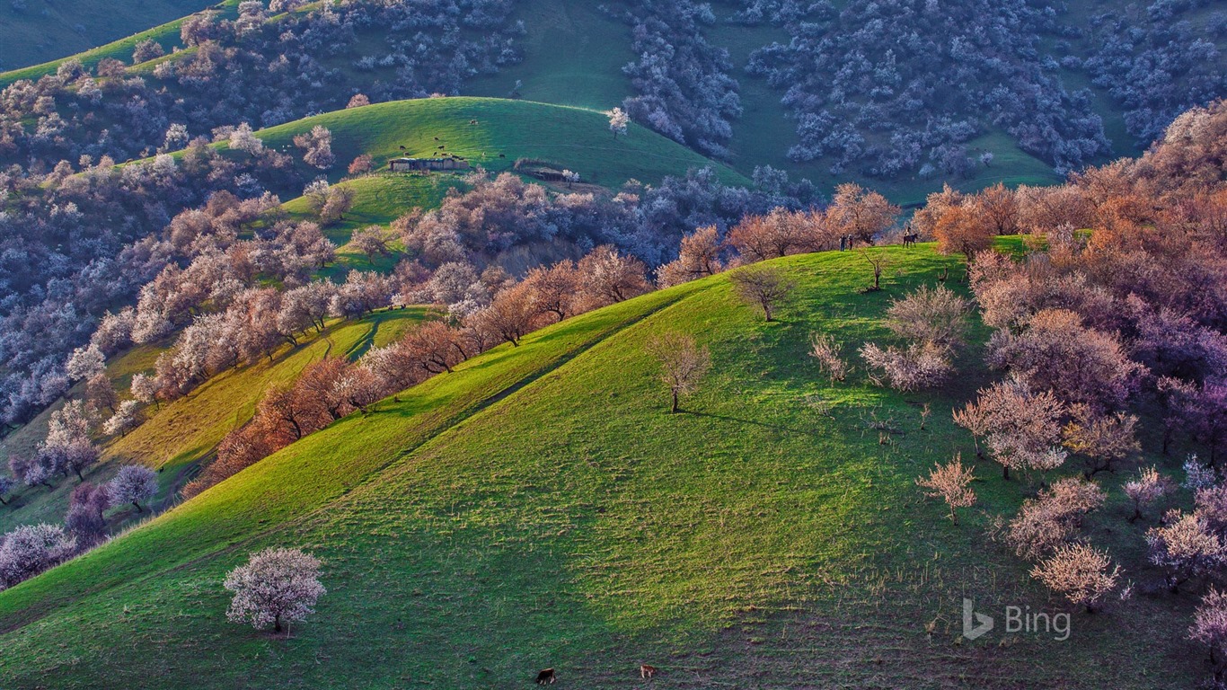 Května 2016 Bing téma HD tapety na plochu #10 - 1366x768