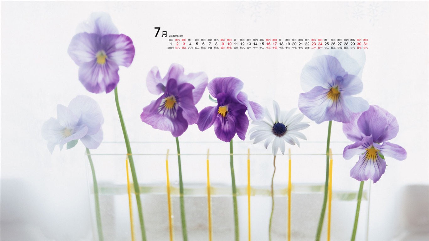 2016年7月 月曆壁紙(一) #10 - 1366x768