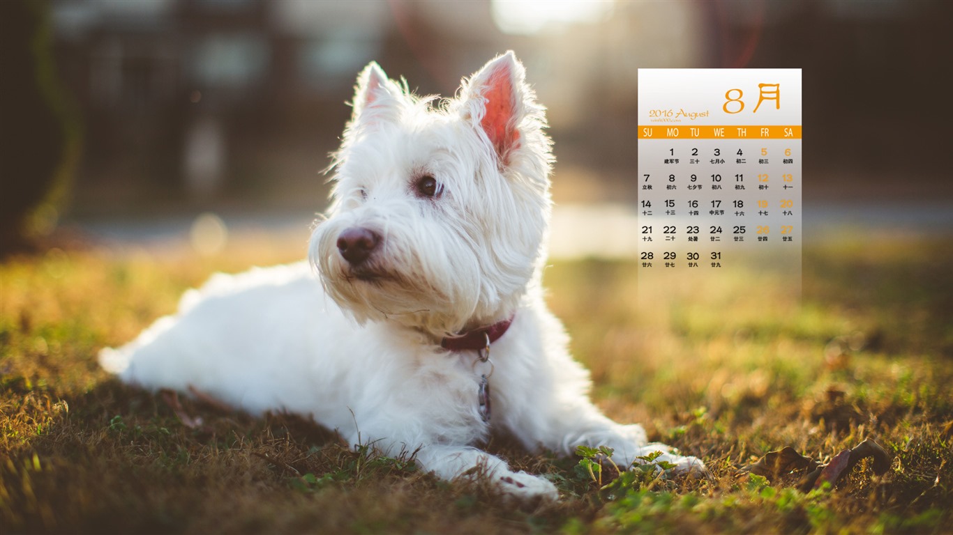 August 2016 calendar wallpaper (1) #15 - 1366x768