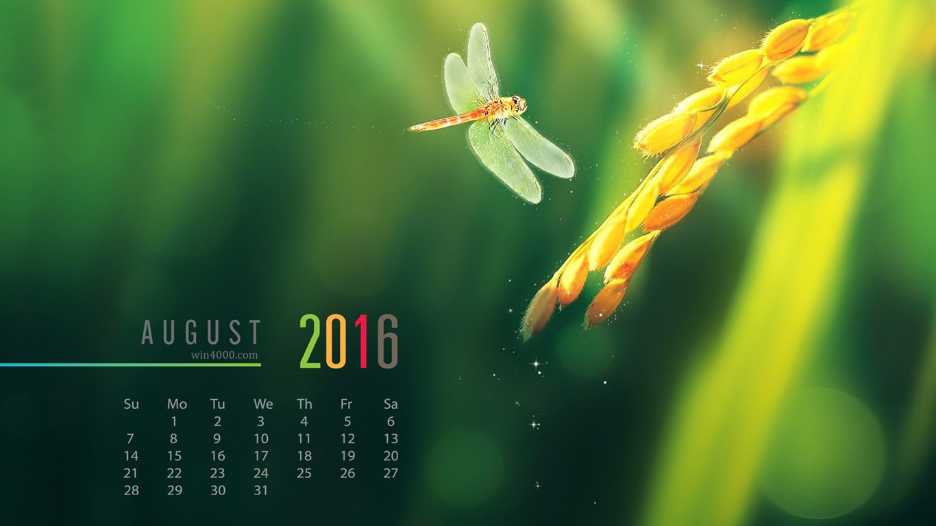 2016年8月 月历壁纸(二)2 - 1366x768