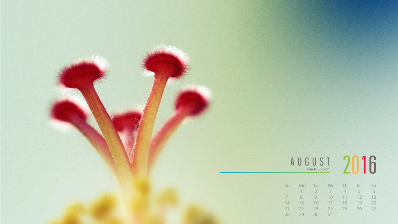 August 2016 Kalender Wallpaper (2) #5 - 1366x768