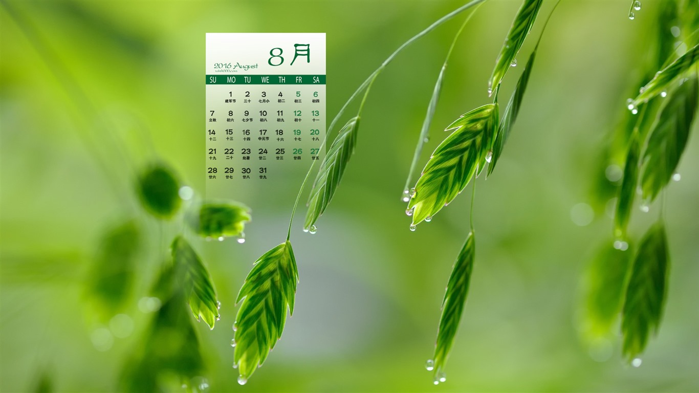 2016年8月 日曆壁紙(二) #6 - 1366x768