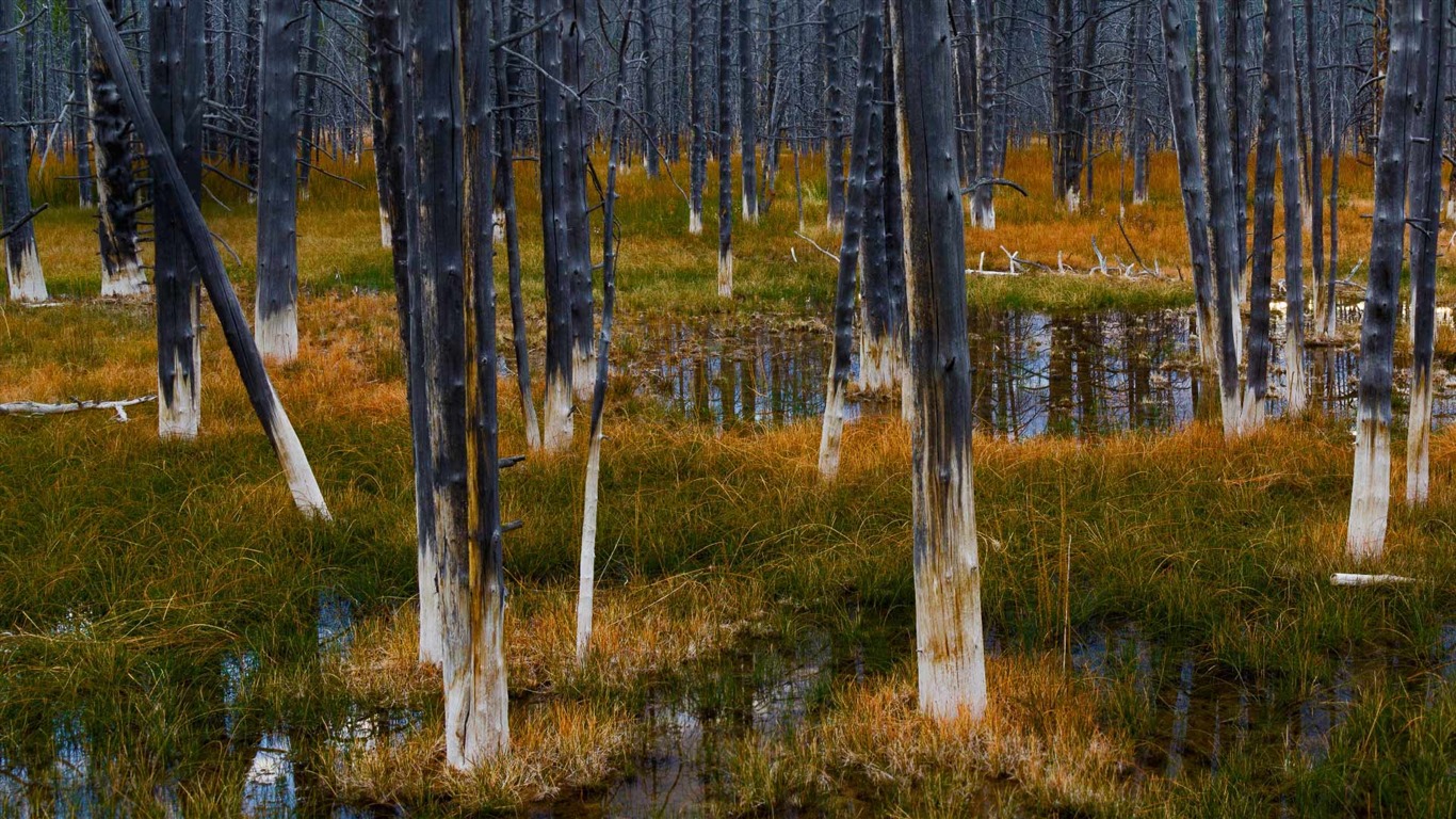 De junio de 2016 fondos de pantalla HD tema de Bing (1) #2 - 1366x768