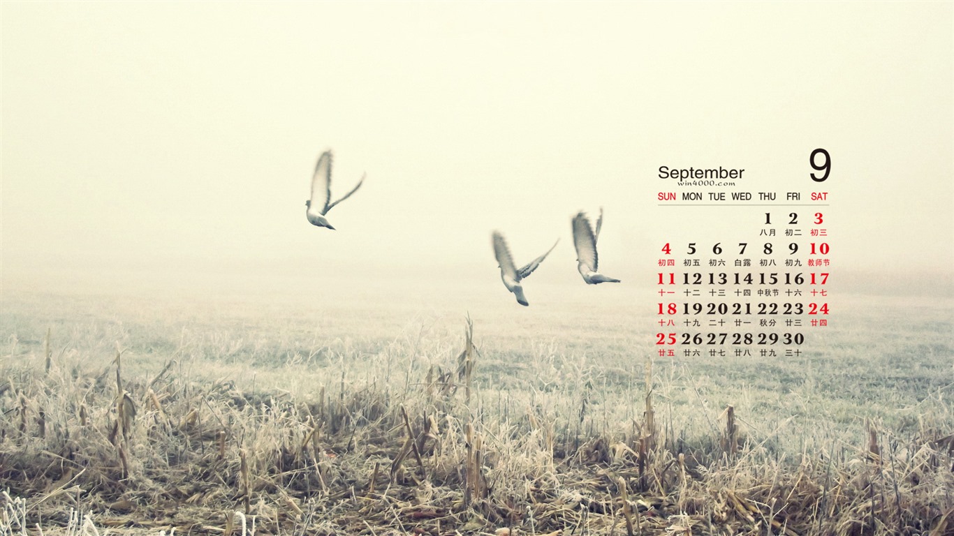 September 2016 Kalender Wallpaper (2) #6 - 1366x768