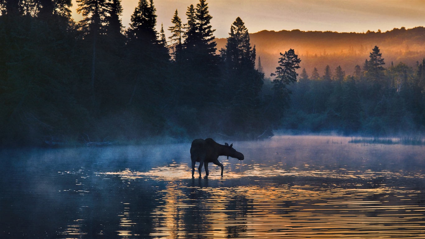 Juillet 2016 fonds d'écran Bing thème HD (2) #27 - 1366x768