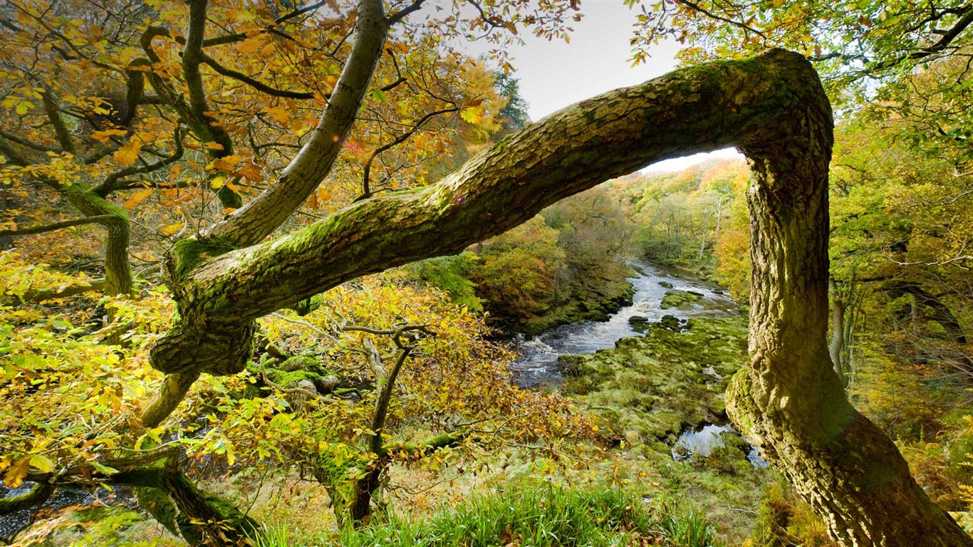 Července 2016 Bing téma HD tapety na plochu (2) #30 - 1366x768
