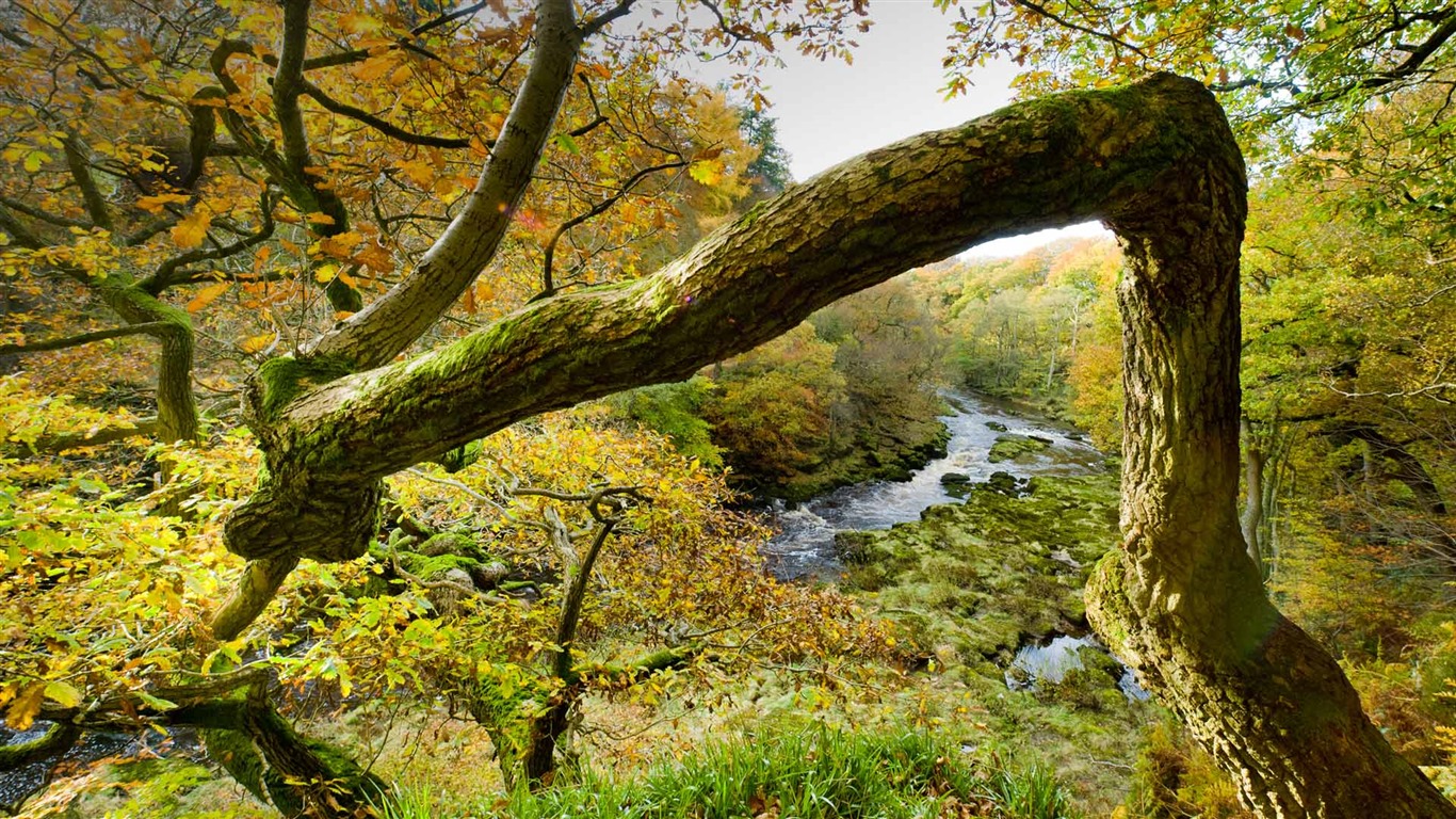 Juillet 2016 fonds d'écran Bing thème HD (2) #30 - 1366x768