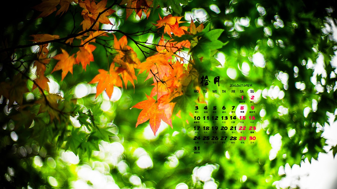 2016年10月 月曆壁紙(二) #2 - 1366x768