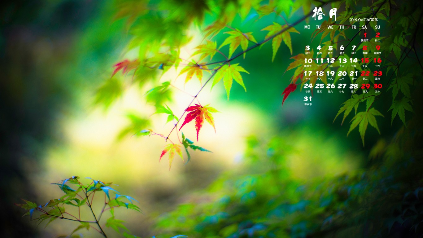 2016年10月 月历壁纸(二)3 - 1366x768