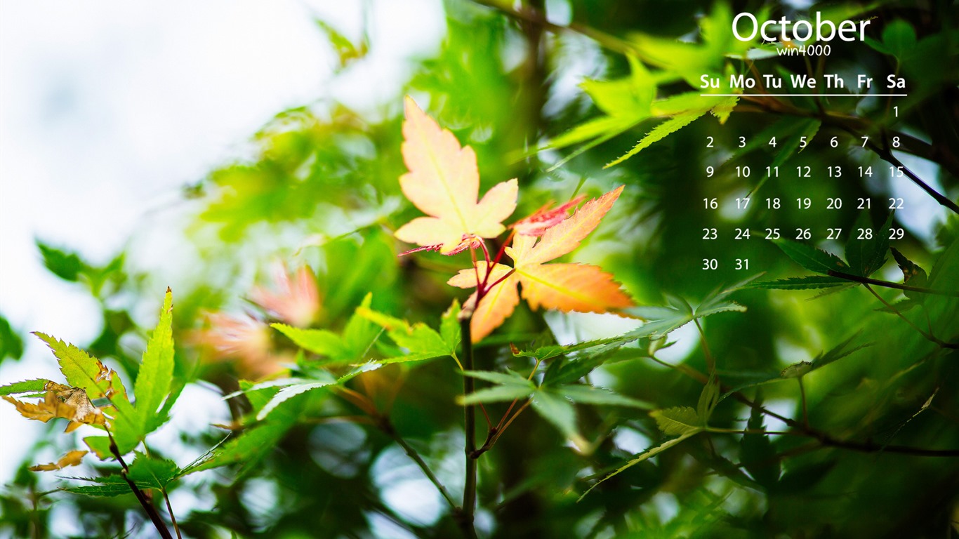 2016年10月 月曆壁紙(二) #4 - 1366x768