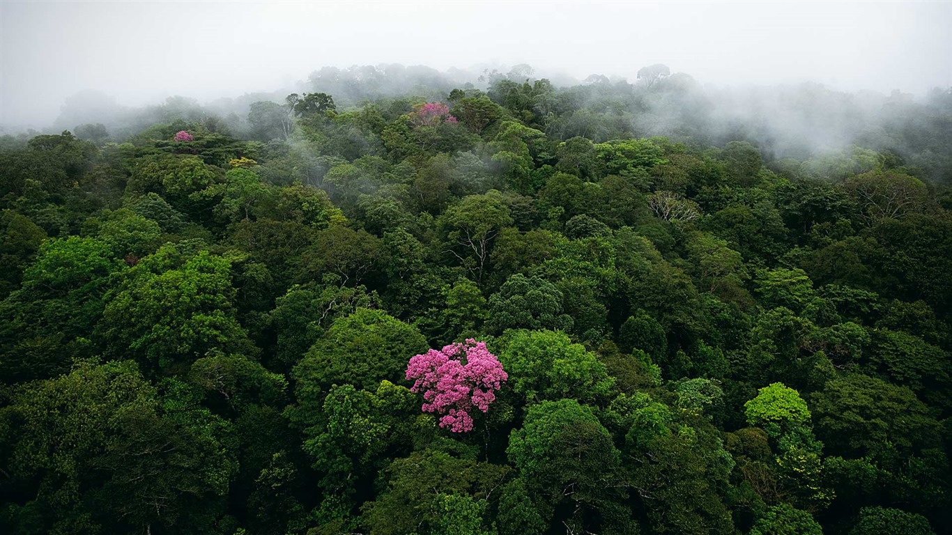 Août 2016 fonds d'écran Bing thème HD (1) #6 - 1366x768