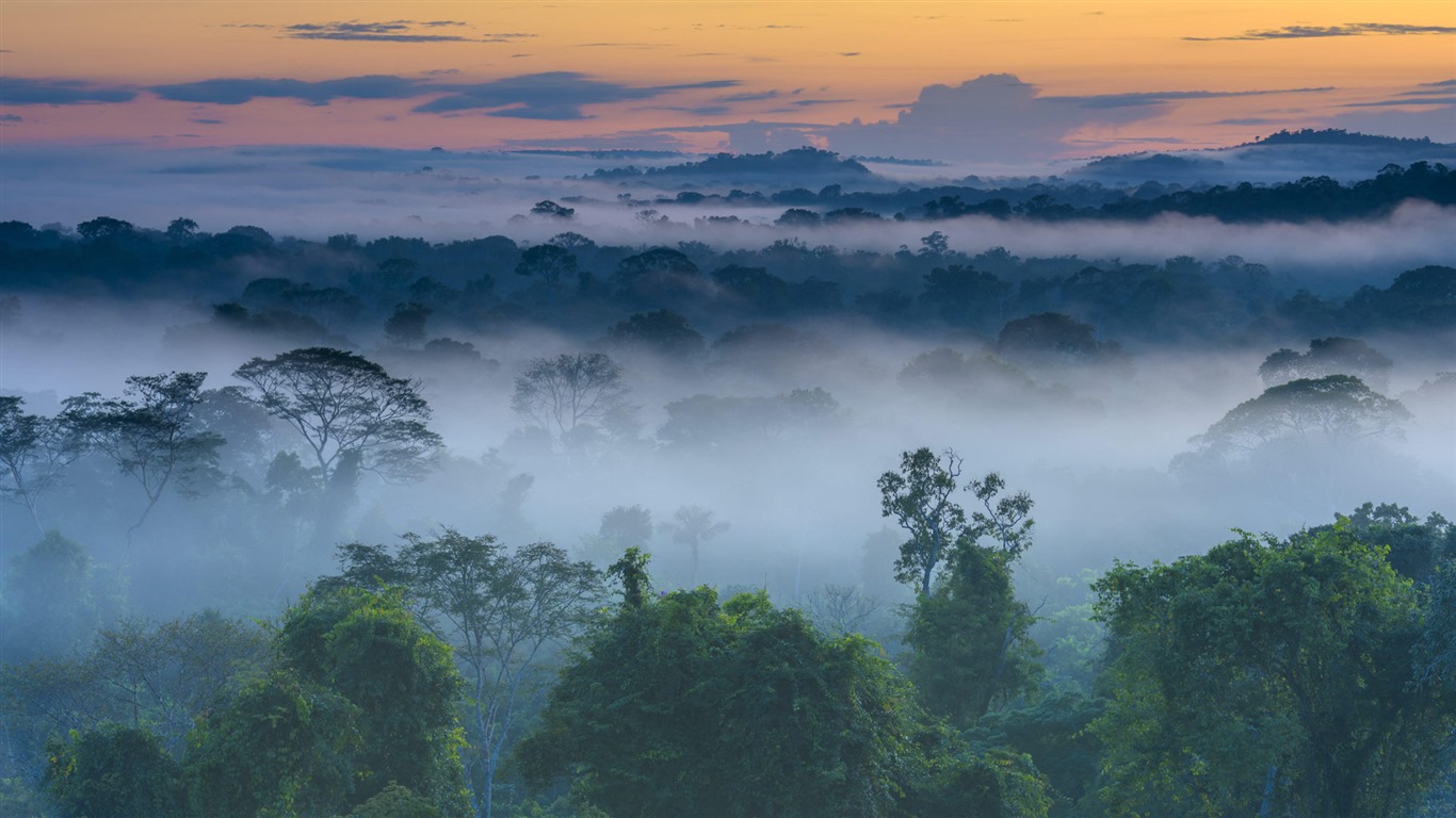 Août 2016 fonds d'écran Bing thème HD (1) #24 - 1366x768