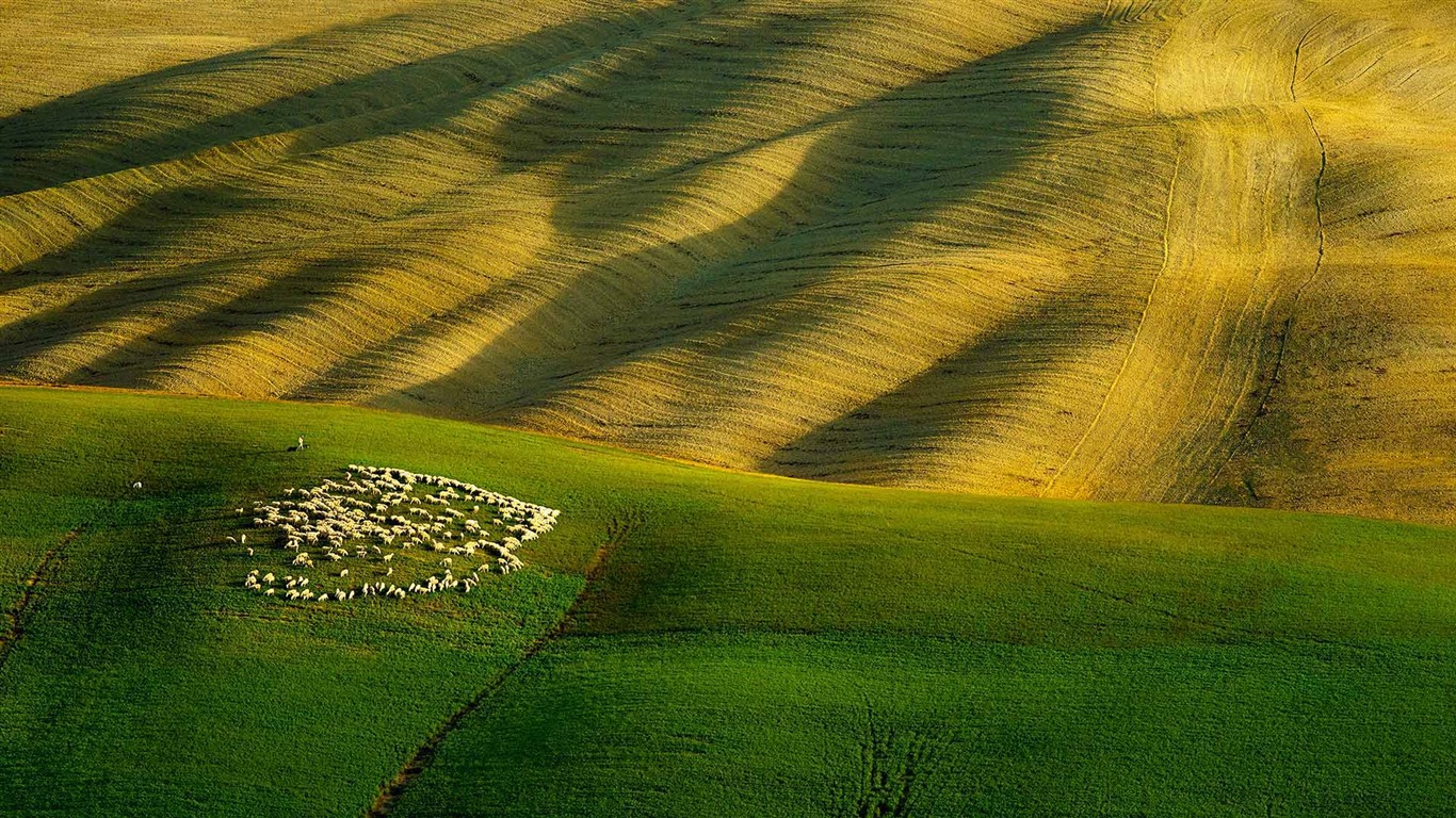 Srpen 2016 Bing téma HD tapety na plochu (2) #19 - 1366x768