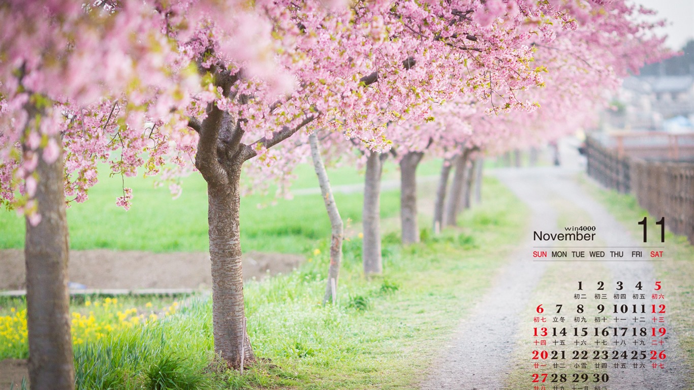 November 2016 calendar wallpaper (1) #1 - 1366x768