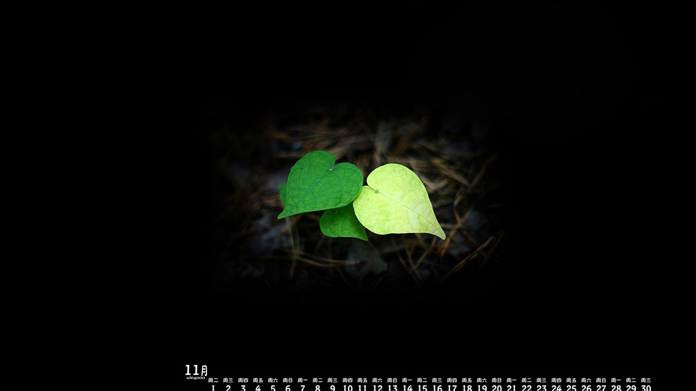 Listopadu 2016 kalendář tapeta (1) #12 - 1366x768