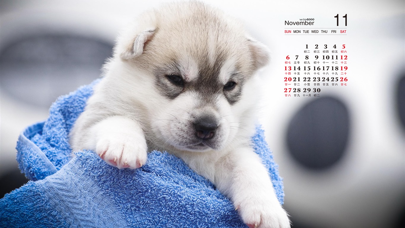 2016年11月 月曆壁紙(一) #13 - 1366x768