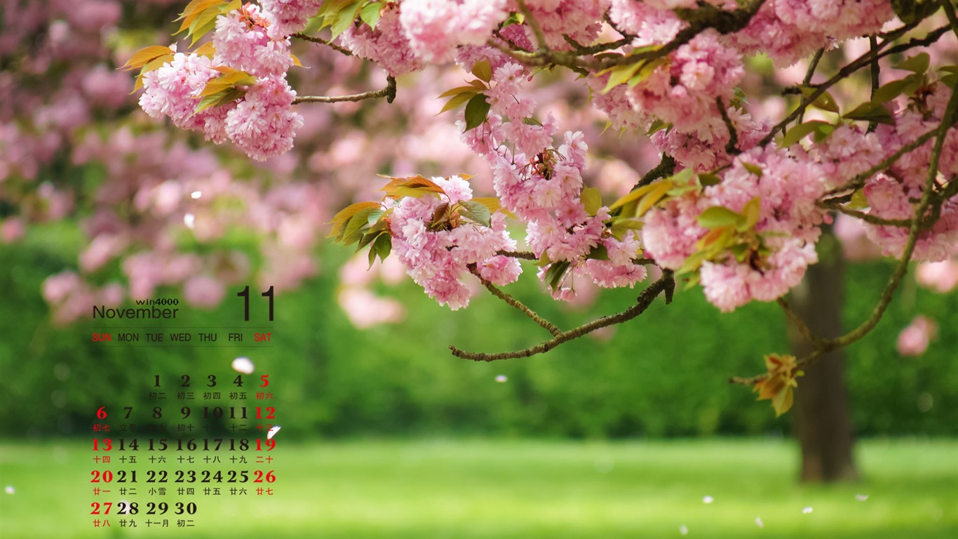 2016年11月 月曆壁紙(一) #15 - 1366x768