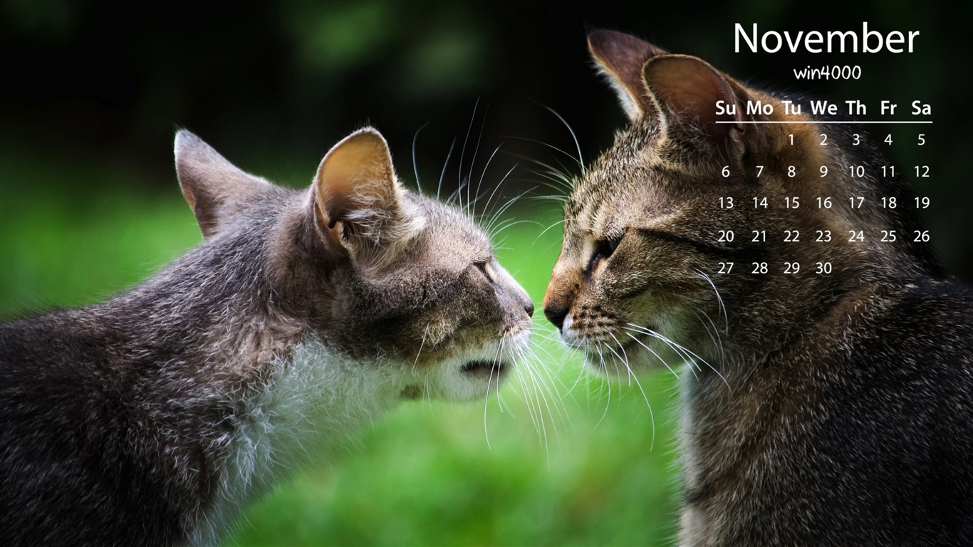 November 2016 calendar wallpaper (1) #20 - 1366x768