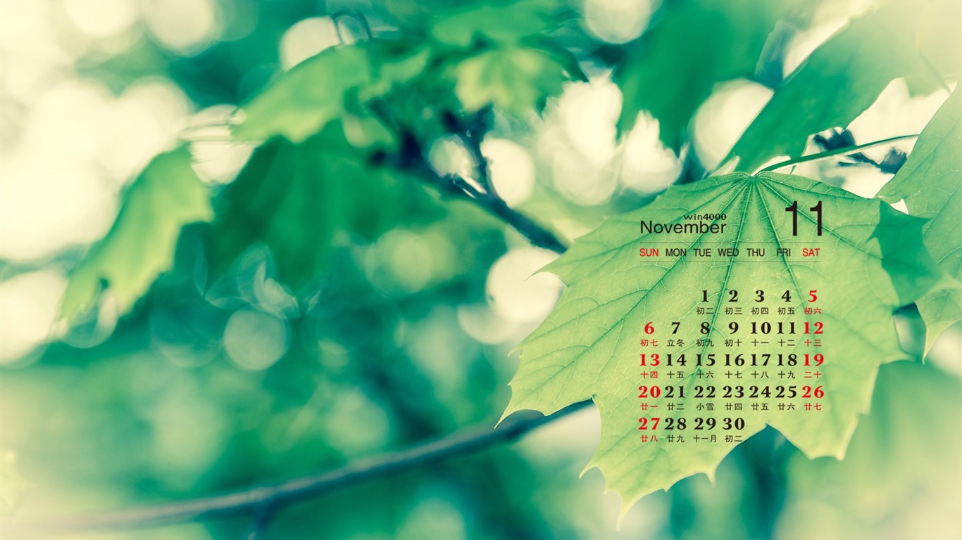 Fond d'écran calendrier Novembre 2016 (2) #5 - 1366x768